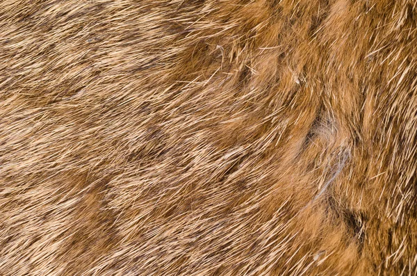 Brown furry fabric — Stock Photo, Image