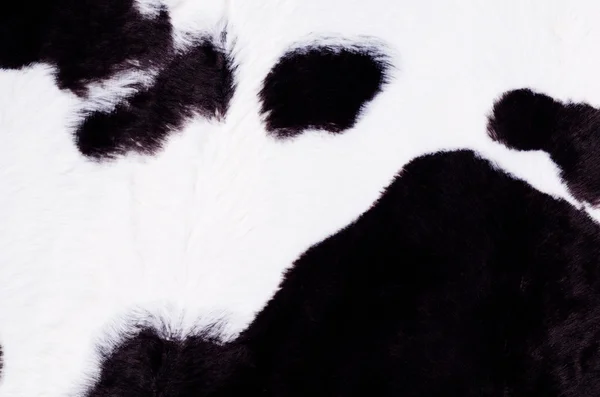 Чёрно-белая кожа коровы — стоковое фото