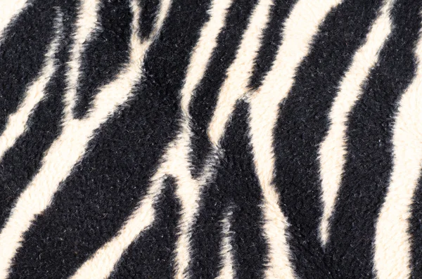 Koberec Zebra — Stock fotografie