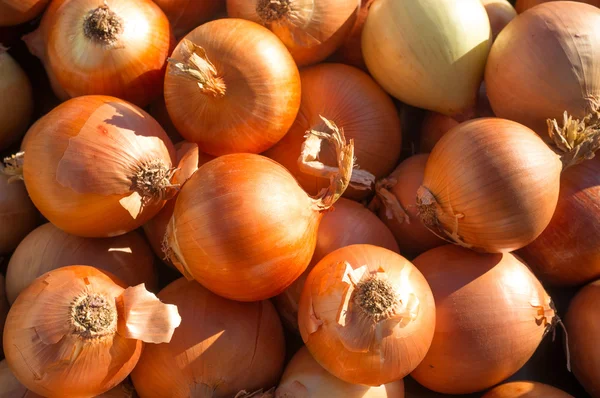 Onions — Stock Photo, Image