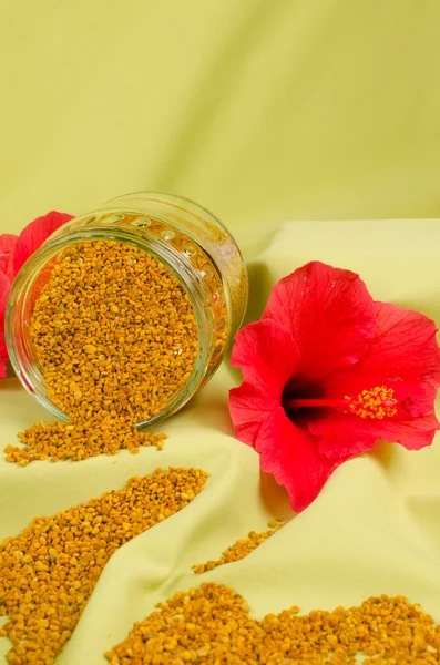 Bee pollen — Stock Photo, Image