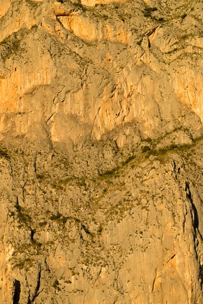岩の顔 — ストック写真
