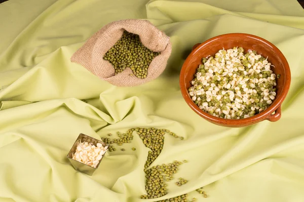 Soy beans and sprouts — Stock Photo, Image