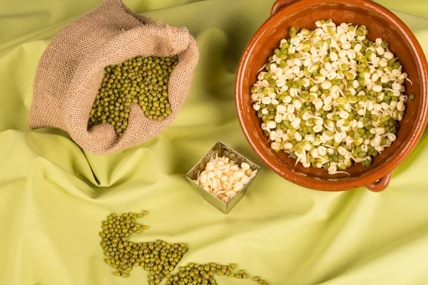 Soy beans and sprouts — Stock Photo, Image