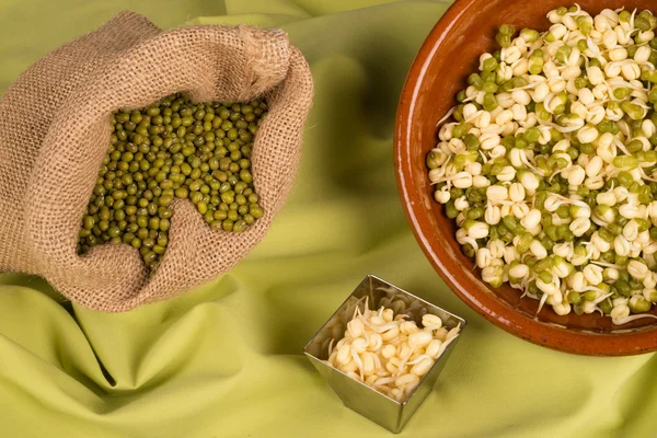 Soy beans and sprouts — Stock Photo, Image