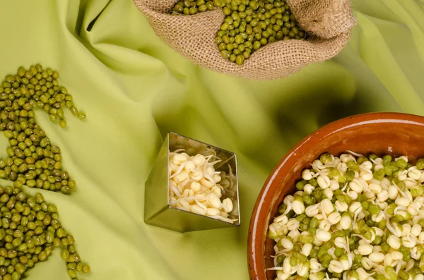 Soy beans still life — Stock Photo, Image