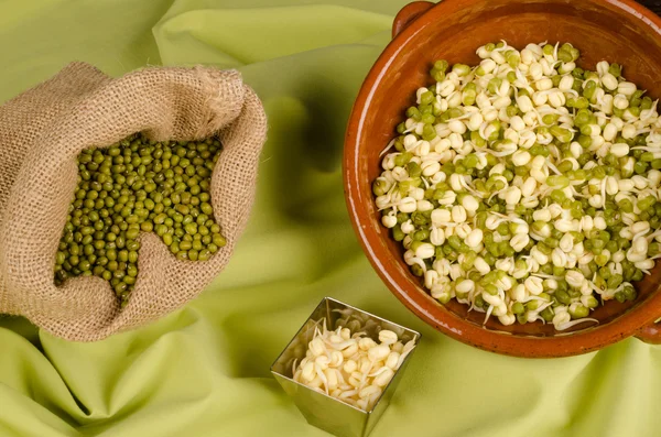 Soja bönor stilleben — Stockfoto