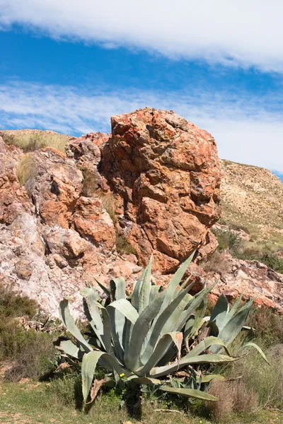 Cabo de gata pustyni — Zdjęcie stockowe