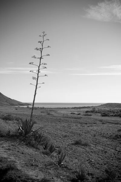 Cabo de Gata —  Fotos de Stock