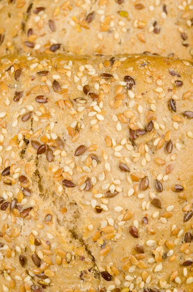 Multi grain bread — Stock Photo, Image