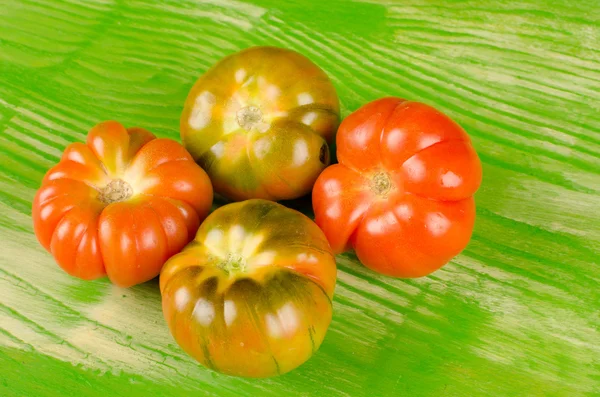 Pomodori crudi — Foto Stock