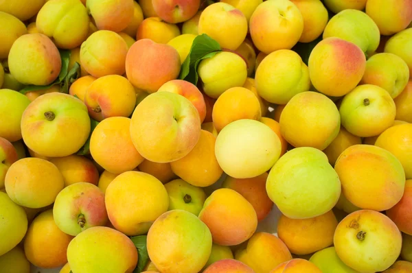 Apricots — Stock Photo, Image