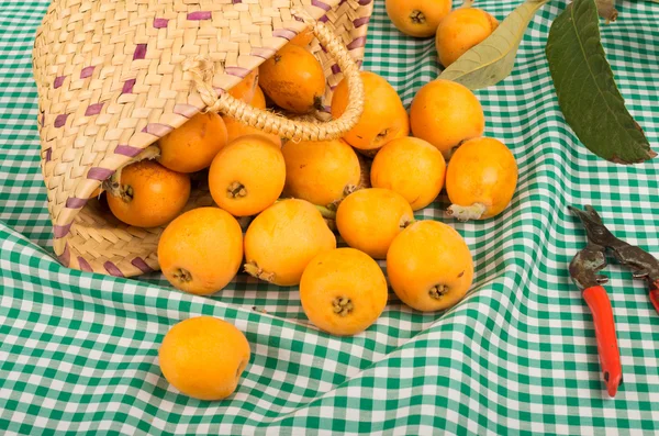 Loquat nature morte — Foto Stock