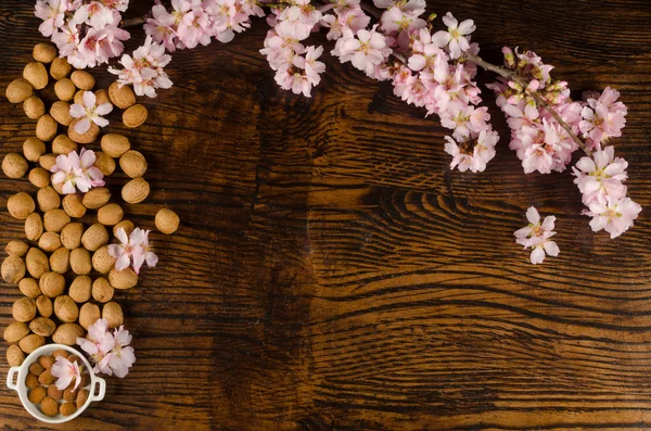 Almond still life — Stock Photo, Image