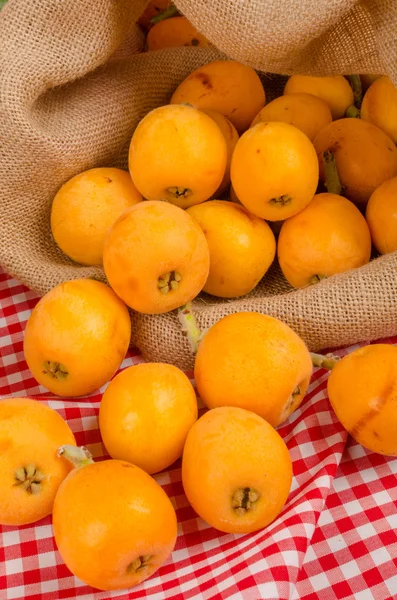 Čerstvě vybral loquats — Stock fotografie