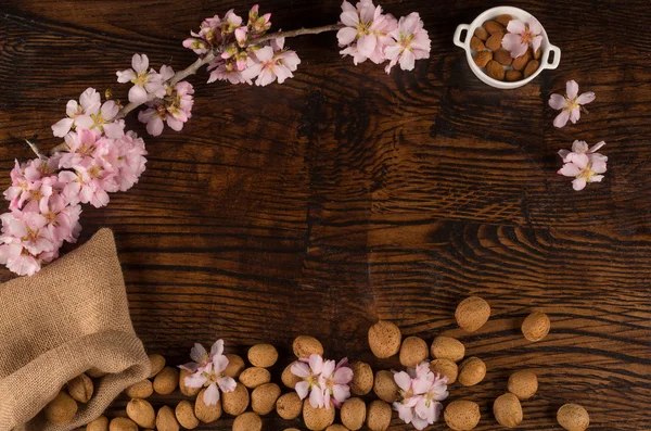 Almond still life — Stock Photo, Image