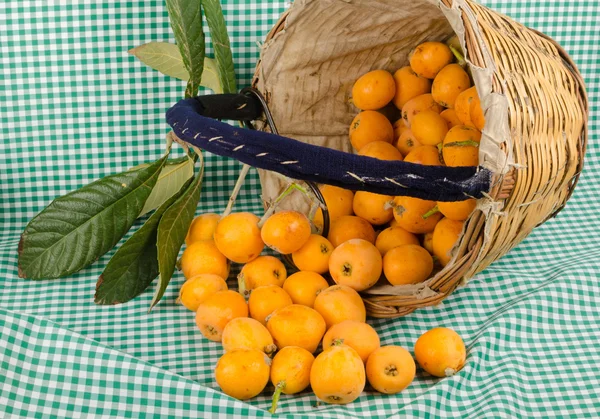 Loquats 수확 바구니에 — 스톡 사진