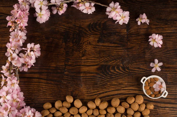 Almond still life — Stock Photo, Image