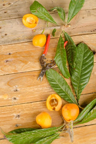 Loquats — Stock fotografie