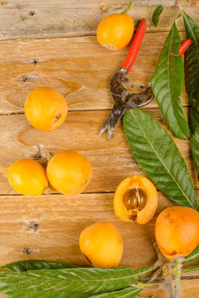 Freshly picked loquats — Stock Photo, Image