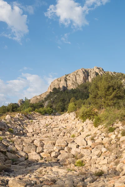 Χαράδρα κρεβάτι — Φωτογραφία Αρχείου