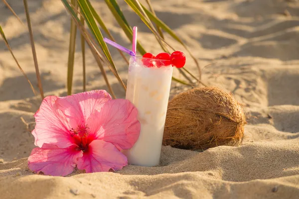 Batido de coco — Fotografia de Stock