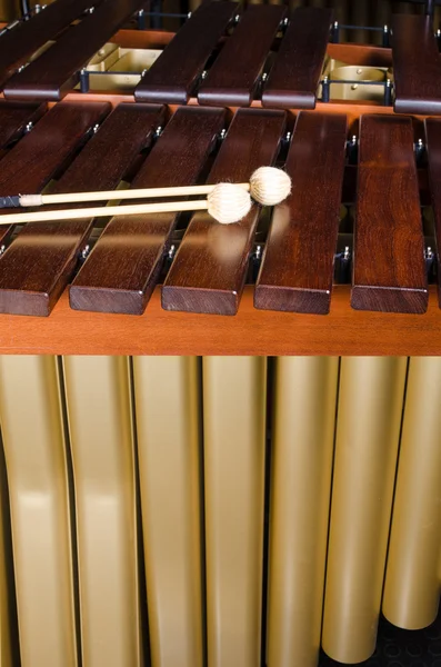 Marimba nycklar och resonatorer — Stockfoto