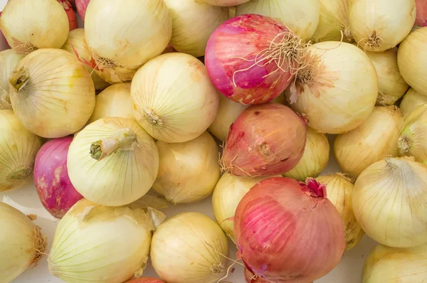 Red and white onions — Stock Photo, Image