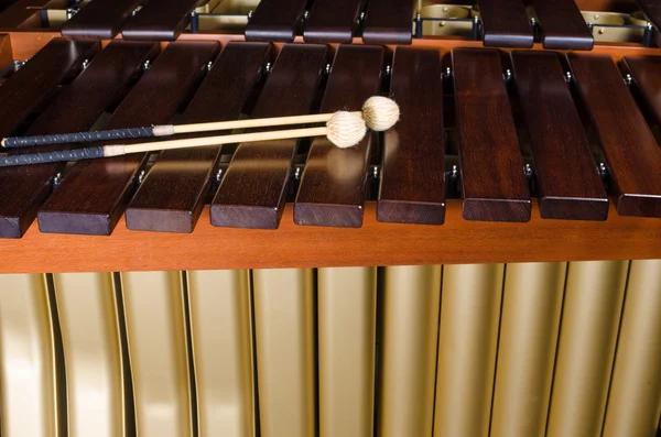 Marimba anahtarları ve Çınlayıcılar (Rezonatörler) — Stok fotoğraf
