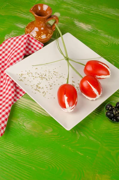 Tomaten-starter — Stockfoto