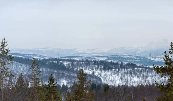 Winter Landscape Kola Peninsula Pines Background Snow Peaks Hills Murmansk — Stock Photo, Image