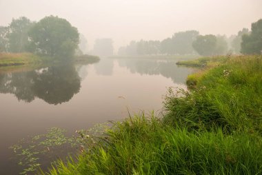Göl ve ağaçlar yoğun siste. Sonbahar manzarası.