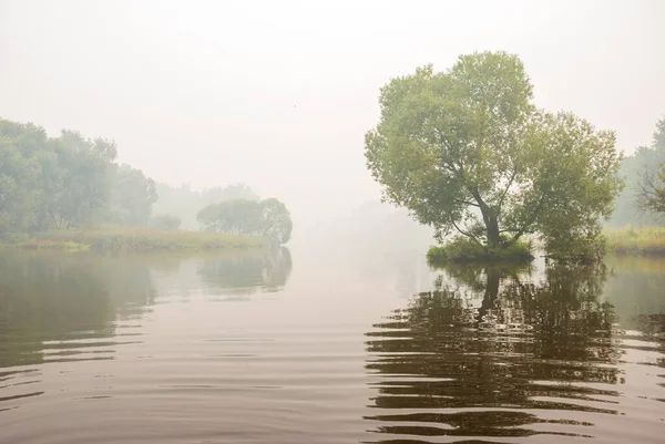 Göl ve ağaçlar yoğun siste. Sonbahar manzarası.