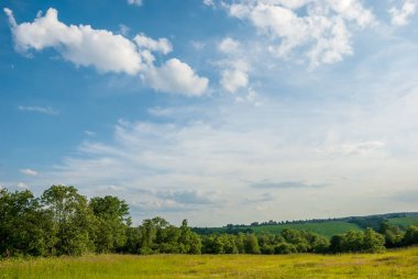 Tarla, ufuktaki ağaçlar ve bulutlu mavi gökyüzü. Yaz manzarası.