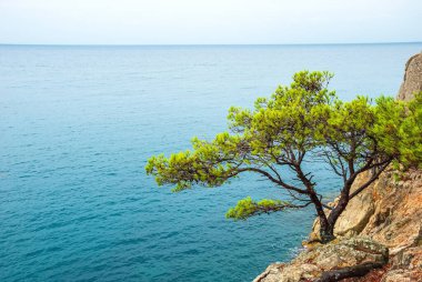 Tossa De Mar, Katalonya, İspanya. Güzel plajları ve temiz turkuaz suları olan görkemli Costa Brava kıyıları.