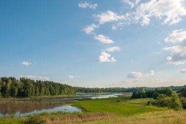 Yeşil bir ormanda bir su kütlesi. Güneşli bir günde yaz manzarası.