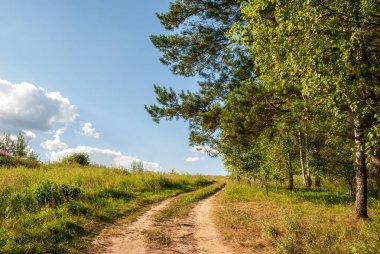Güneşli bir günde yaz manzarası. Orman, çayırlar ve bulutlu mavi gökyüzü..