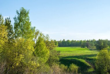 Spring rural landscape. Green fields and forests against a background of blue sky and clouds.