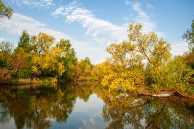 Lake and trees in the rays of the sun at sunset. Beautiful spring landscape.