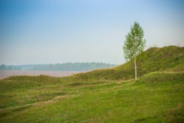 Spring rural landscape. Green fields and forests against a background of blue sky and clouds.