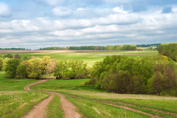 Rural dirt road in rural areas. Green fields, trees and a sky with beautiful clouds. Beautiful spring landscape.