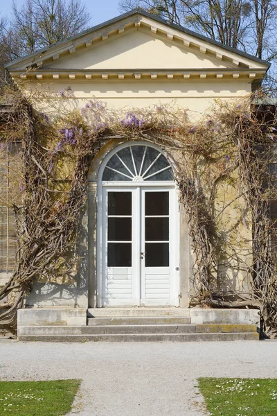 Wisteria ile Bahçe evi — Stok fotoğraf