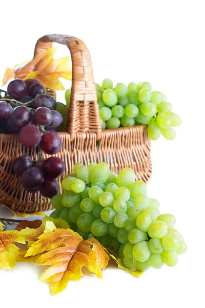 Green and dark grape in the basket — Stock Photo, Image