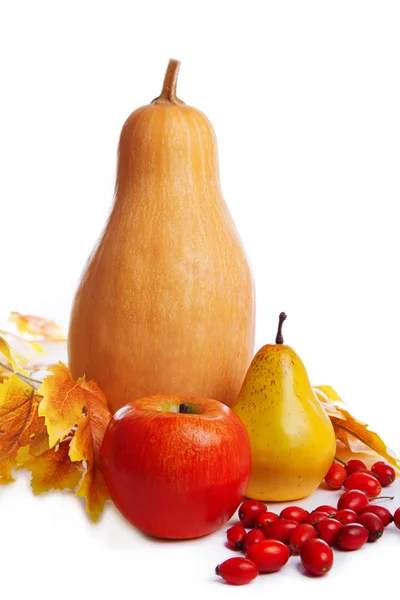 Autum oogst groenten en fruit — Stockfoto