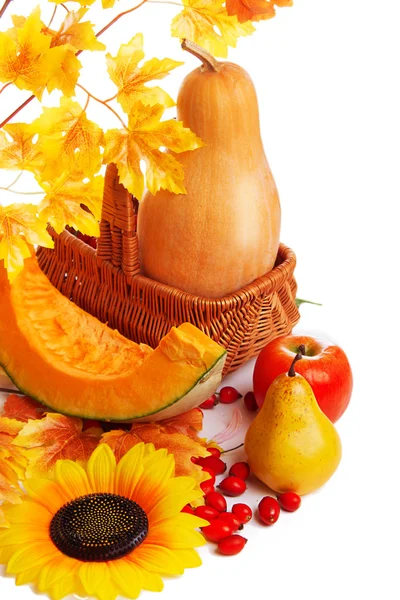 Cosecha de Autum frutas y verduras — Foto de Stock