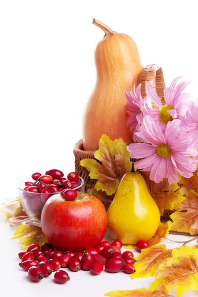 Herbst Obst und Gemüse im Korb — Stockfoto