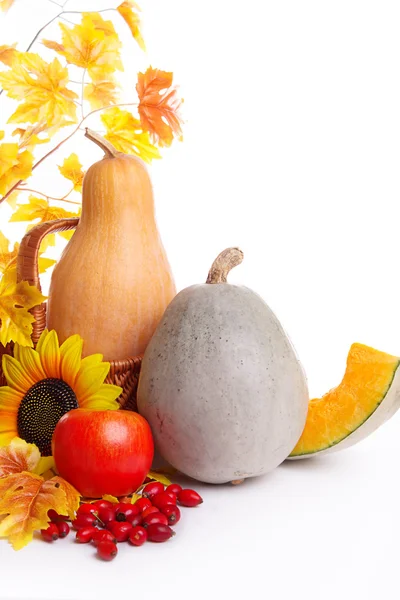 Podzimní ovoce a zelenina v koši s listy — Stock fotografie