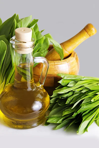 Fresh leaves of wild garlic with mortar and pastle — Stock Photo, Image