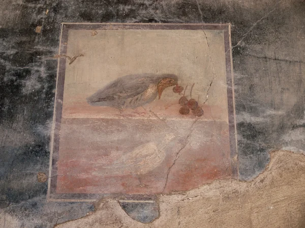 Herculaneum-Italy — Stock Photo, Image