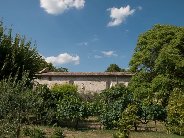 Countryside — Stock Photo, Image